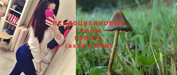 герыч Алзамай